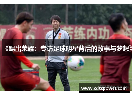 《踢出荣耀：专访足球明星背后的故事与梦想》