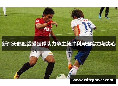 新泻天鹅迎战爱媛球队力争主场胜利展现实力与决心