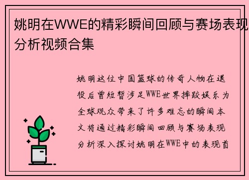 姚明在WWE的精彩瞬间回顾与赛场表现分析视频合集